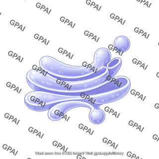 Golgi apparatus membrane budding