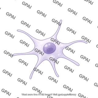 Dendritic cell follicular 2