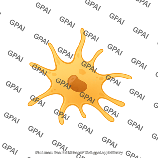 Langerhans cell