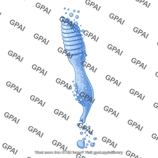 Rod photoreceptor dying 2 02
