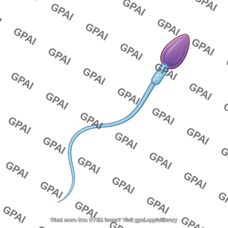 Sperm