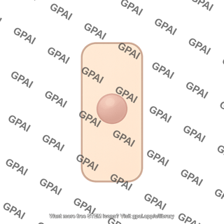 Columnar cell central nucleus