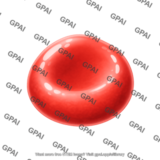 Red blood cell hypotonic