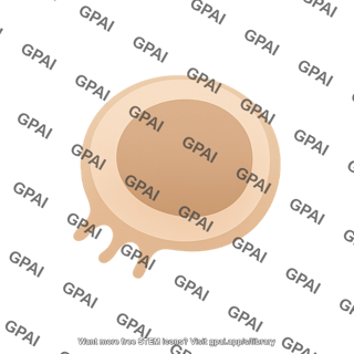 Merkel cell