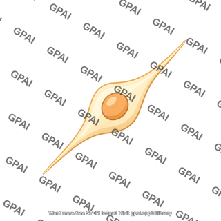 Neural stem cell 01