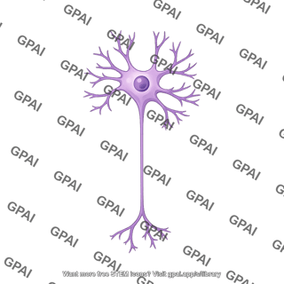 Enteric neuron dogiel type ii short