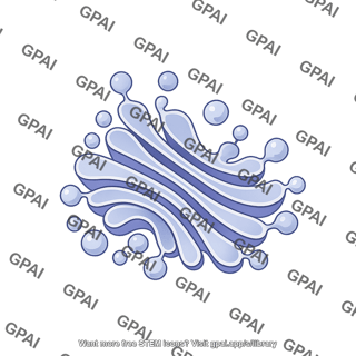 Golgi apparatus 2d budding