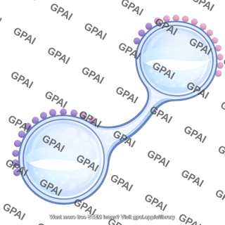 Membrane endocytic pathway endosome 1