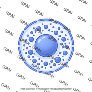 Nucleus with nuclear speckles