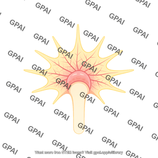 Growth cone