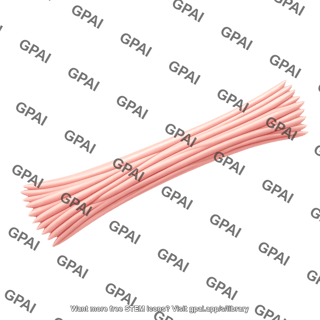 Tendon tapered