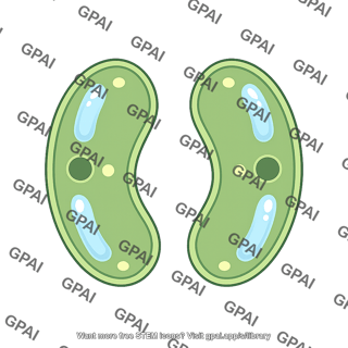 Guard cell open empty