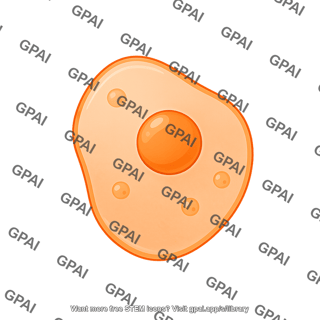 Pancreatic delta cell