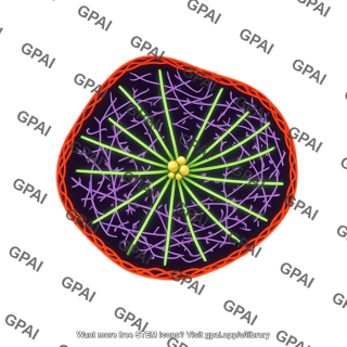 Cytoskeleton on cell fluorescent