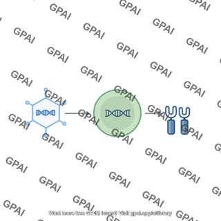 Viral delivery of car encoding gene into t cells