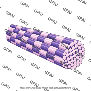 Collagen fibril