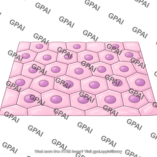 Tissue sheet generic