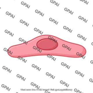 Endothelial cell 1 01