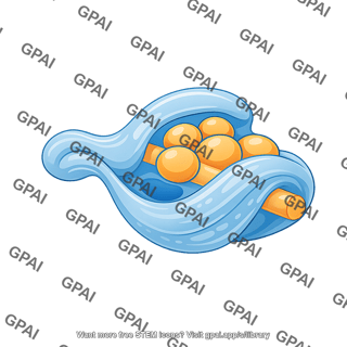 Schwann cell non myelinating abnormal