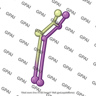 Kinetochore ndc80 complex