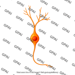 Granule neuron immature