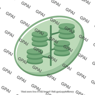 Chloroplast 2d