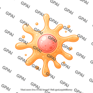 Cell shape 3 01