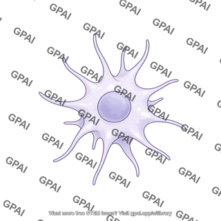 Dendritic cell variation 2