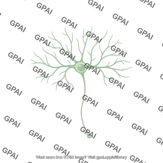 Retinal ganglion cell with dendrites and axon