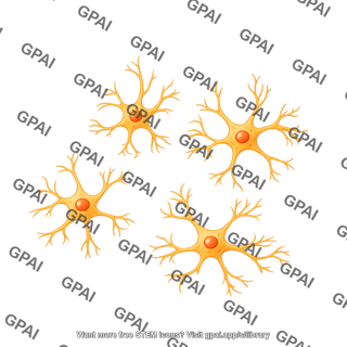 Enteric glia type iii subepithelial