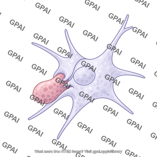 Dendritic cell squeezing