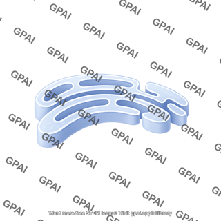Er membrane silhouette