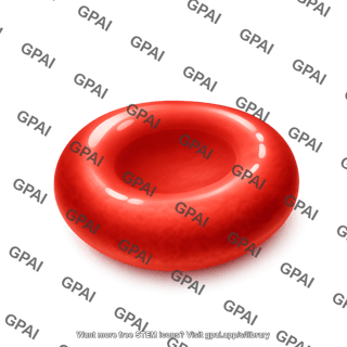 Red blood cell 2