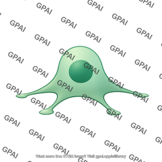 Anchor cell 2