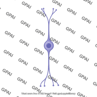 Retinal cell bipolar