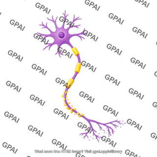Multipolar neuron motor degenerating myelinated distal only