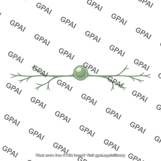 Retinal cell horizontal