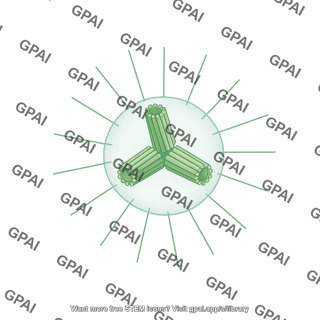 Centrosome 3 centrioles