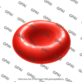 Red blood cell 3d