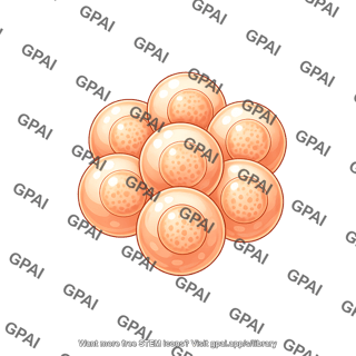 Spheroidal cell cluster