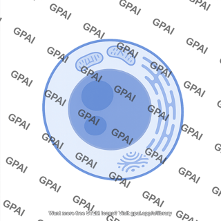 Erythroblast