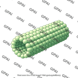 Microtubule short