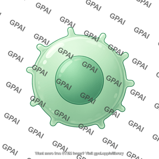 Lymphocyte t cell