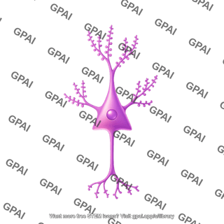 Pyramidal neuron dendritic spines high