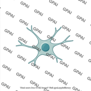 Oligodendrocyte progenitor early