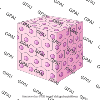 Tissue cube hexagonal