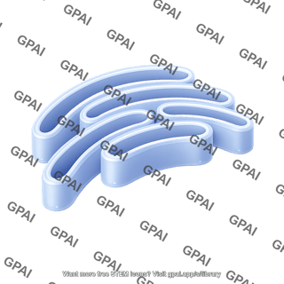 Er membrane