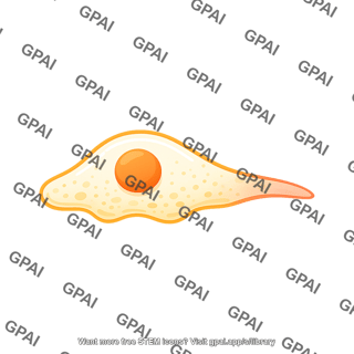 Motile cell stage 1 01
