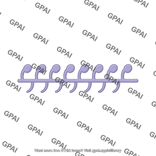 Sarcomere myosin