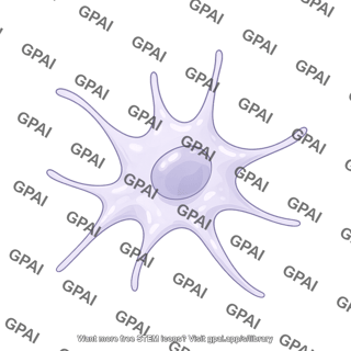Dendritic cell 3
